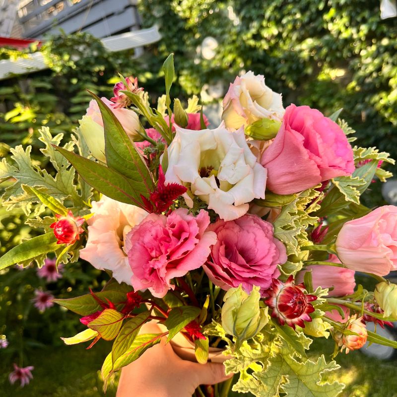 Pink and white flower subscription bouquet
